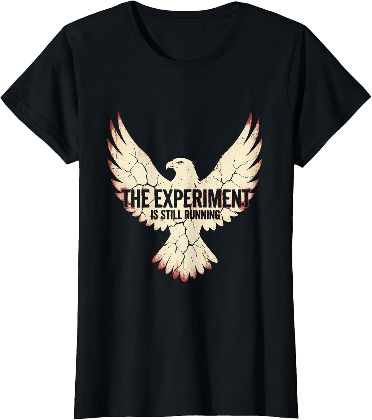 The Experiment Is Still Running Science Teacher T-Shirt - Black