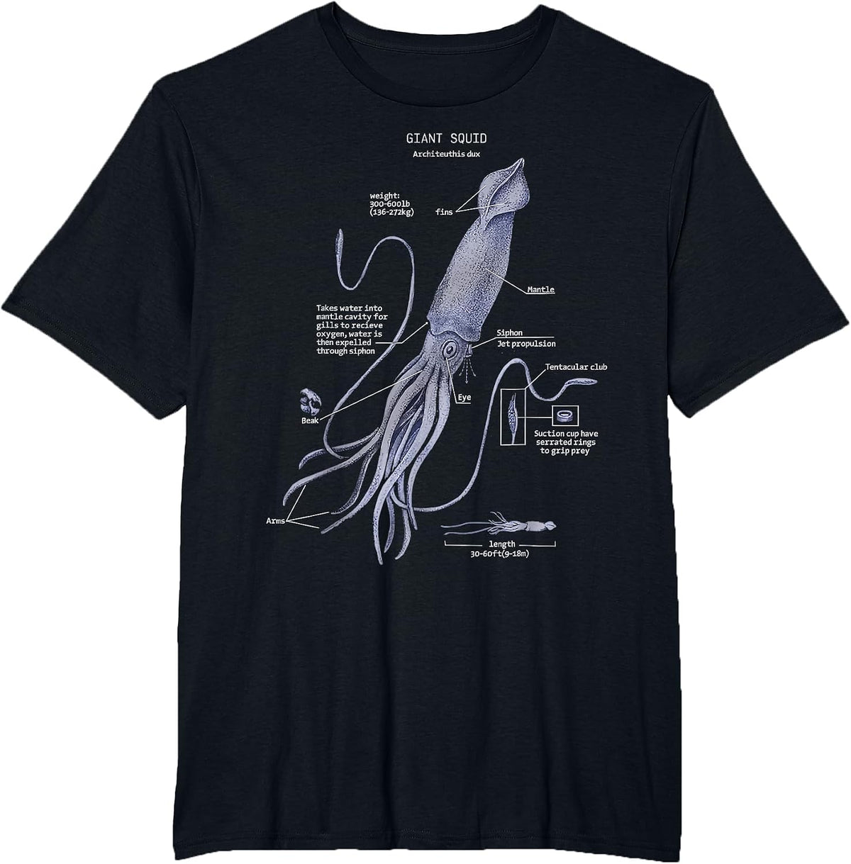 Giant Squid Anatomy Marine Biology T-Shirt - Black