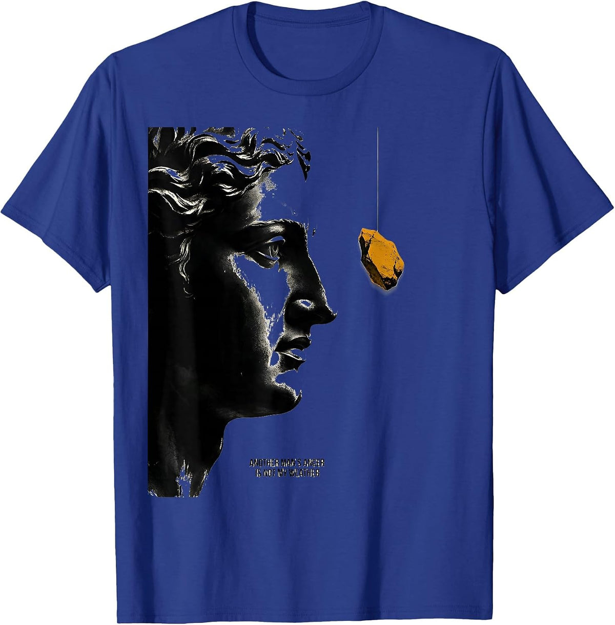 Men's Another Man's Anger Is Not My Weather Stoic Philosophy Quote T-Shirt - Royal Blue