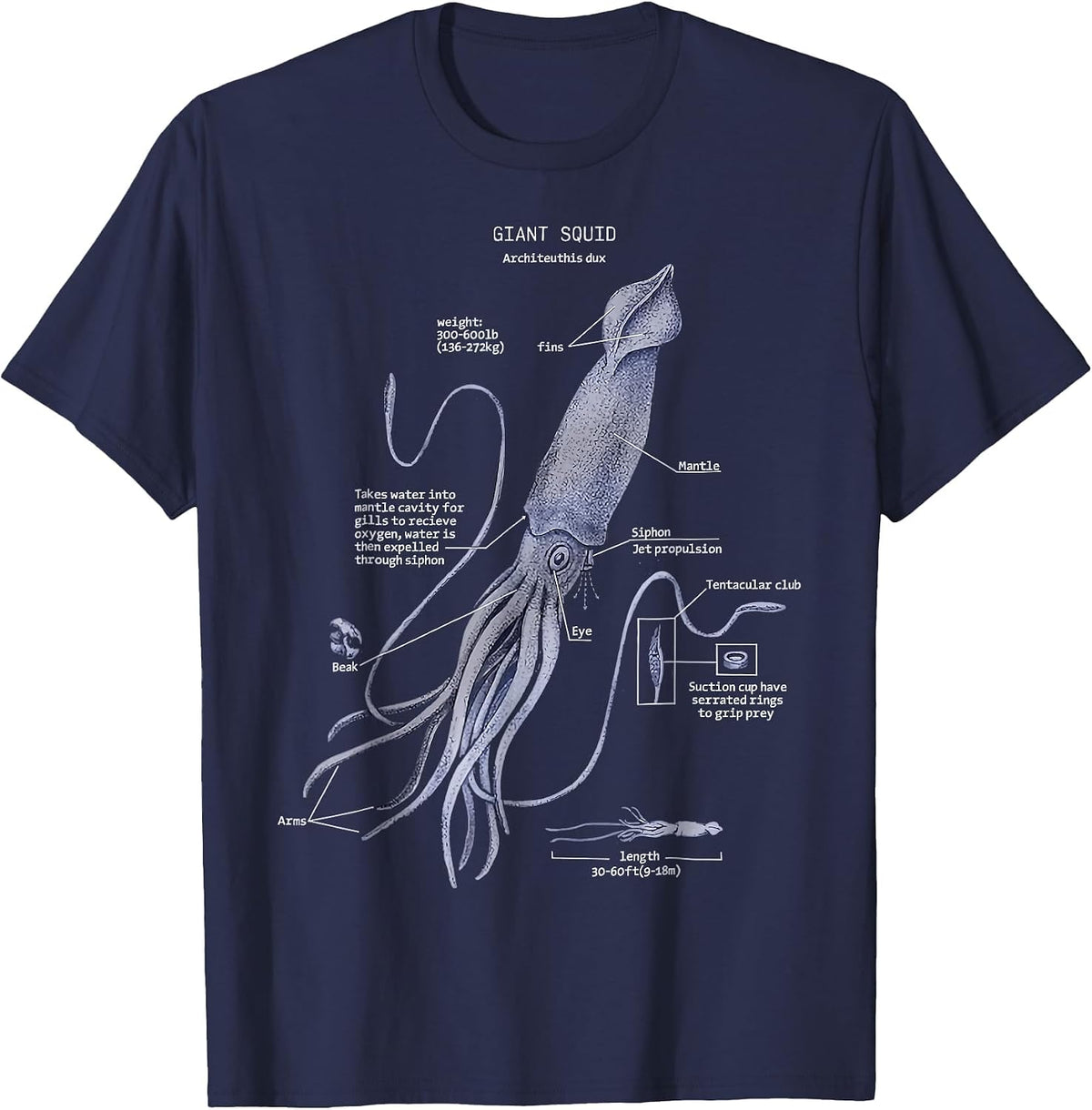 Giant Squid Anatomy Marine Biology T-Shirt - Navy Blue