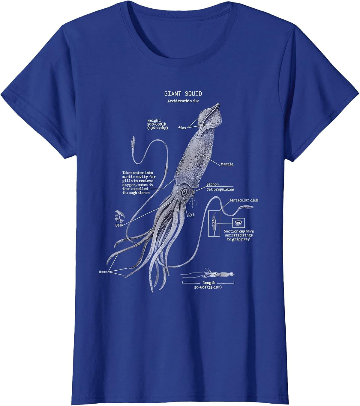 Giant Squid Anatomy Marine Biology T-Shirt - Royal Blue