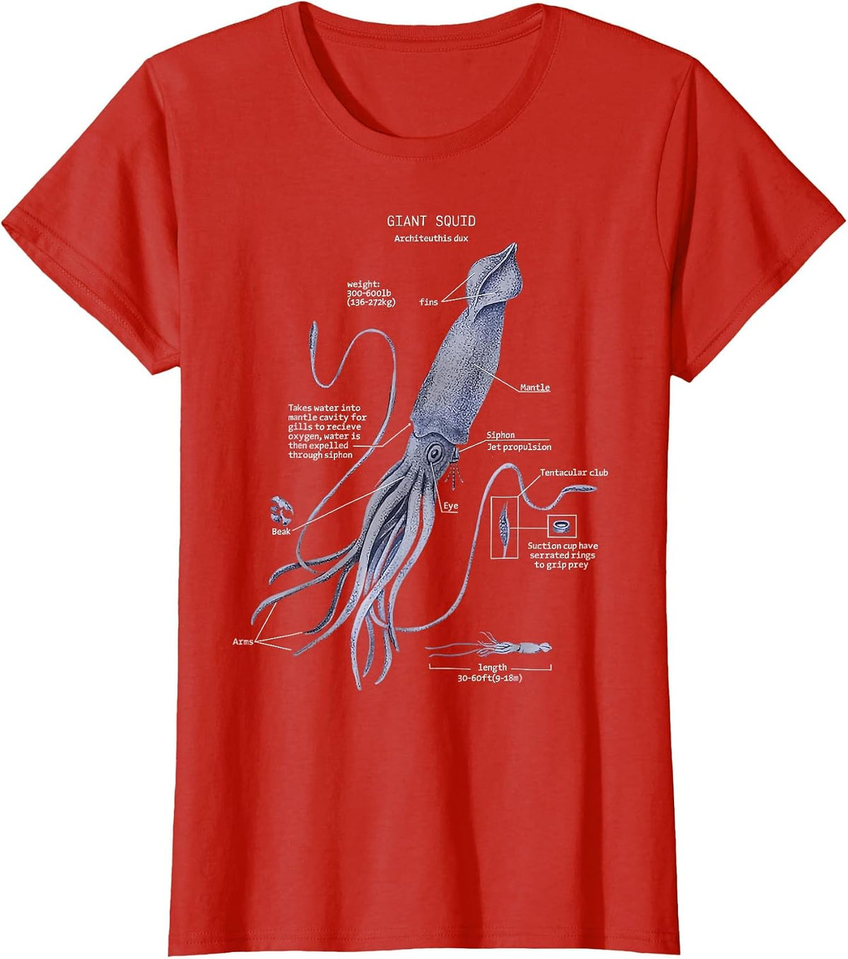 Giant Squid Anatomy Marine Biology T-Shirt - Red