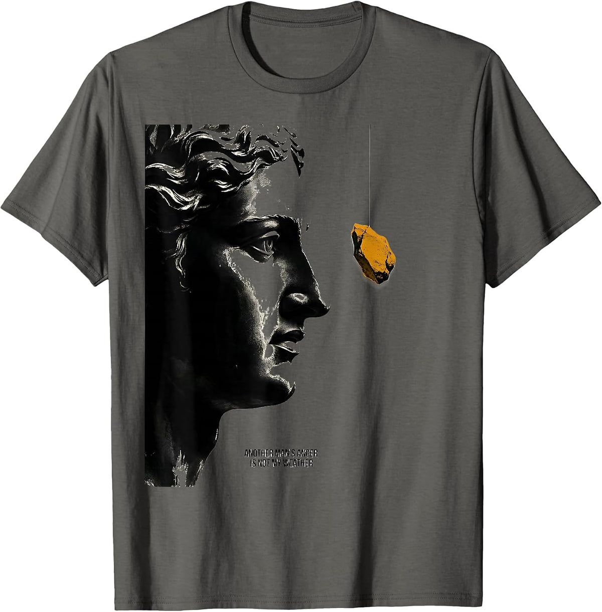 Men's Another Man's Anger Is Not My Weather Stoic Philosophy Quote T-Shirt - Asphalt Grey