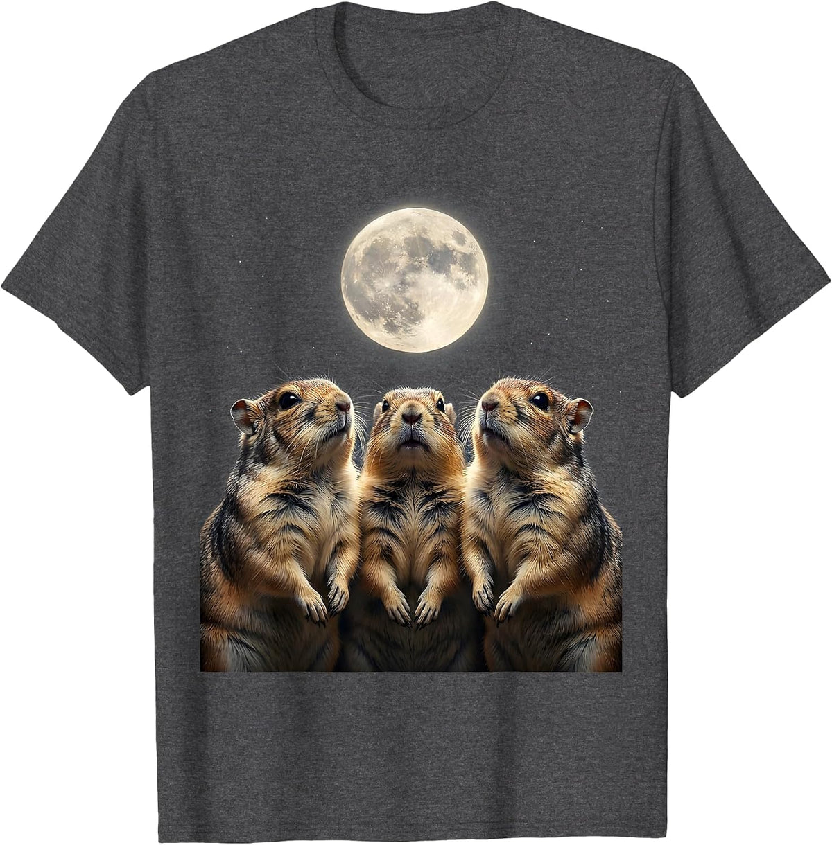 Three Chinchillas Moon Funny Meme Humor T-Shirt - Dark Heather Grey