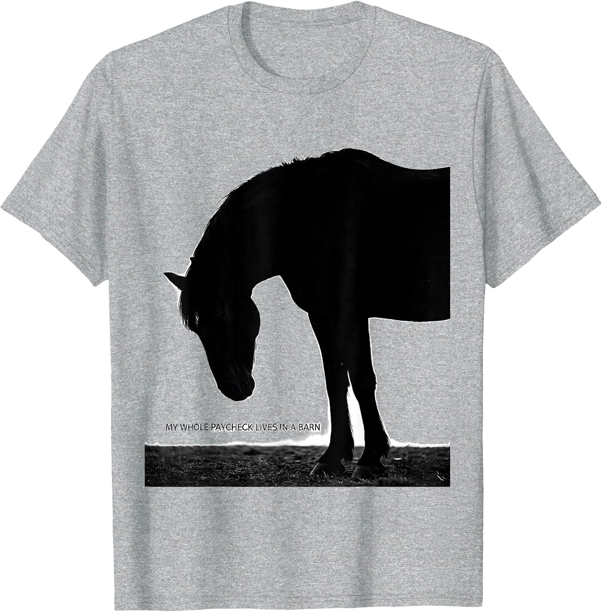 Men's My Whole Paycheck Lives In A Barn Funny Horse Lover Girl T-Shirt - Heather Grey