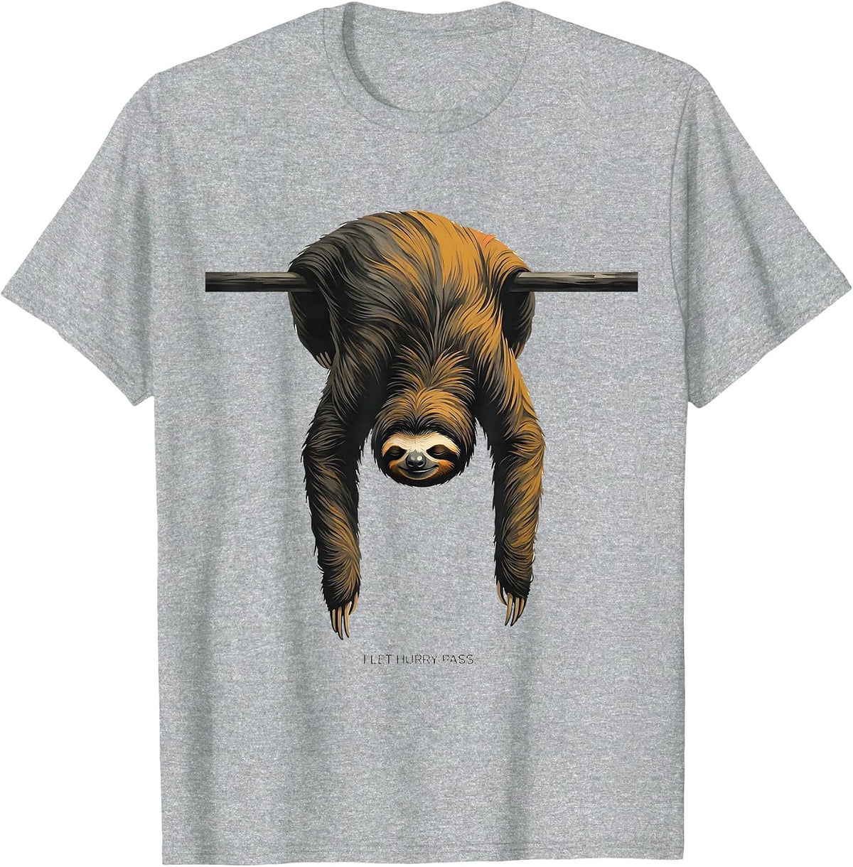 Men's I Let Hurry Pass Funny Sloth Humor Novelty Gift T-Shirt - Heather Grey