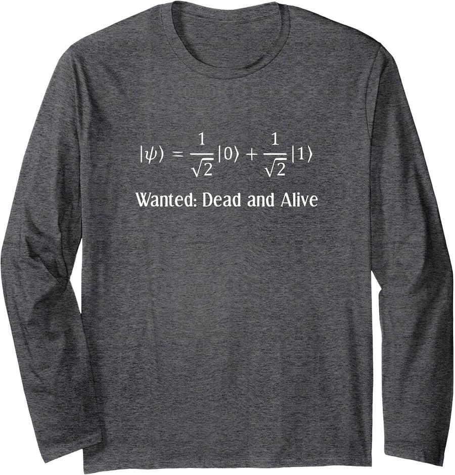 Schrodinger Physics Equation Long Sleeved Shirt Physicists - Adult Unisex Dark Heather Grey
