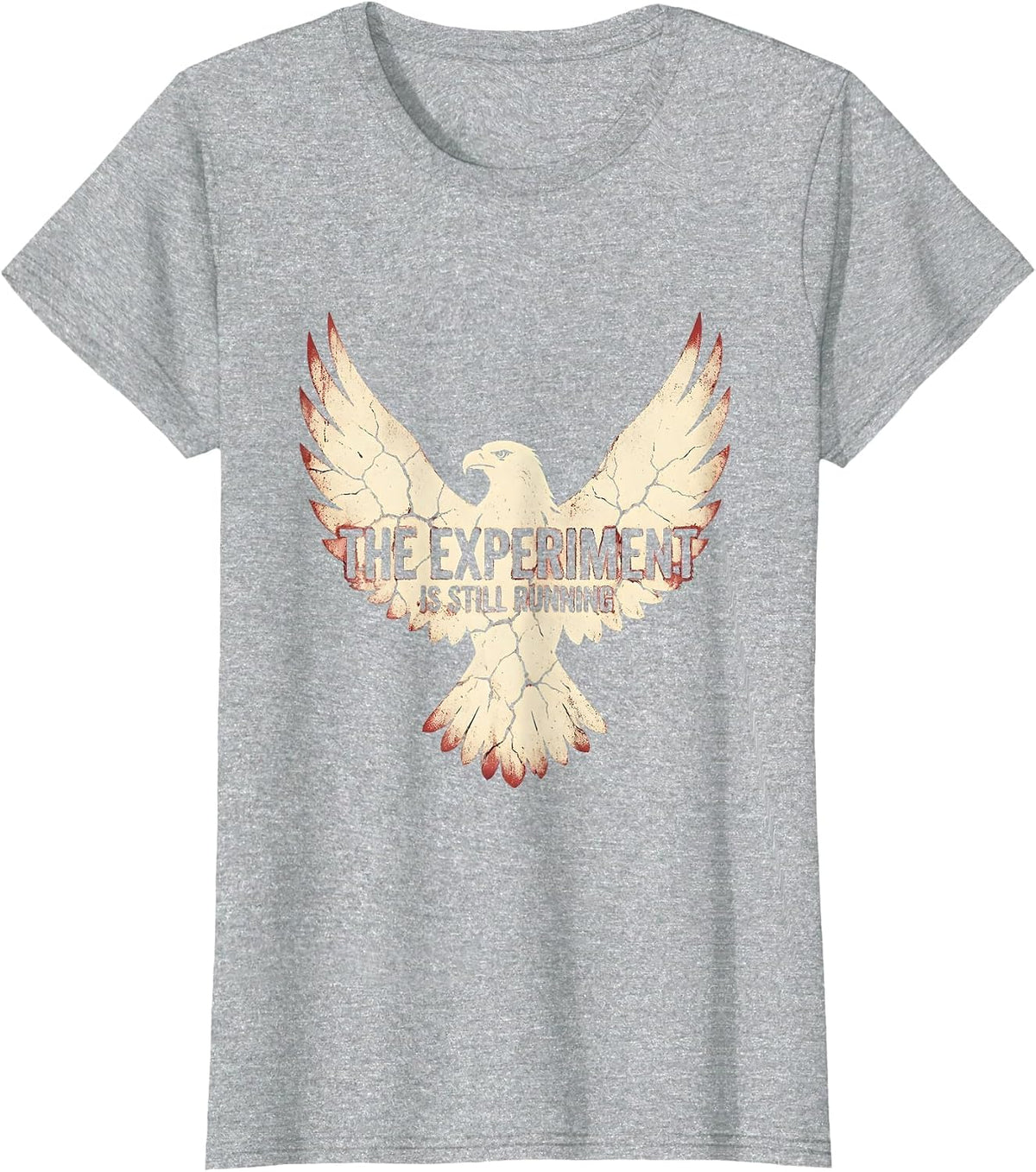 The Experiment Is Still Running Science Teacher T-Shirt - Heather Grey