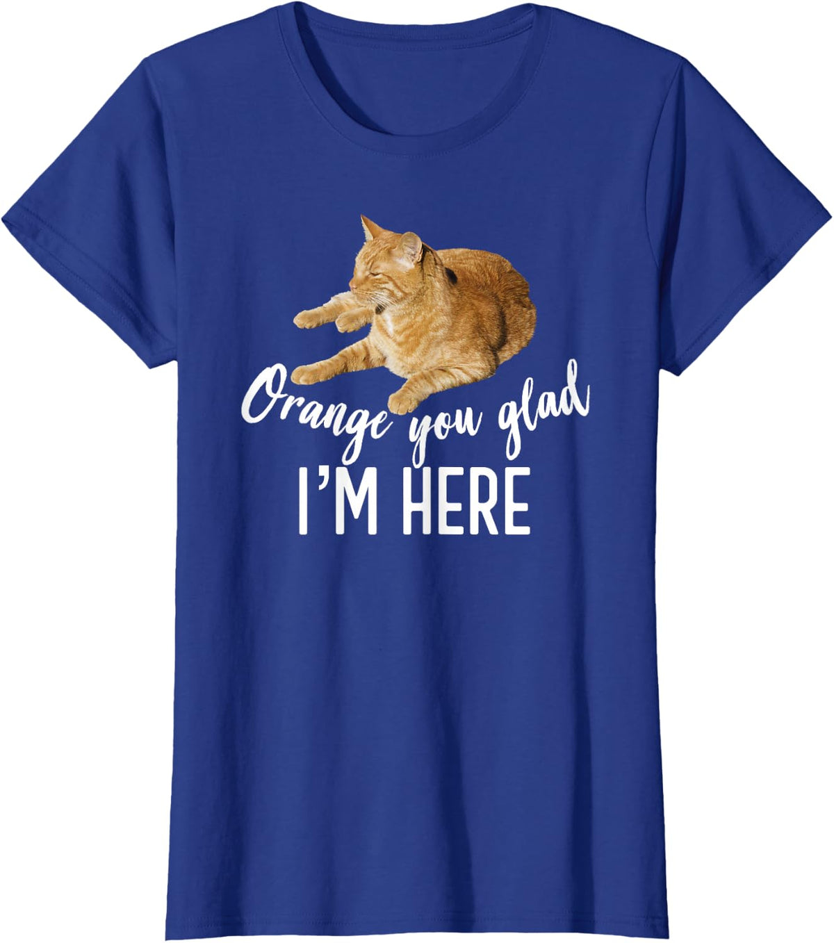 Orange You Glad I'm Here Tabby Cat Lover Graphic T-Shirt - Royal Blue