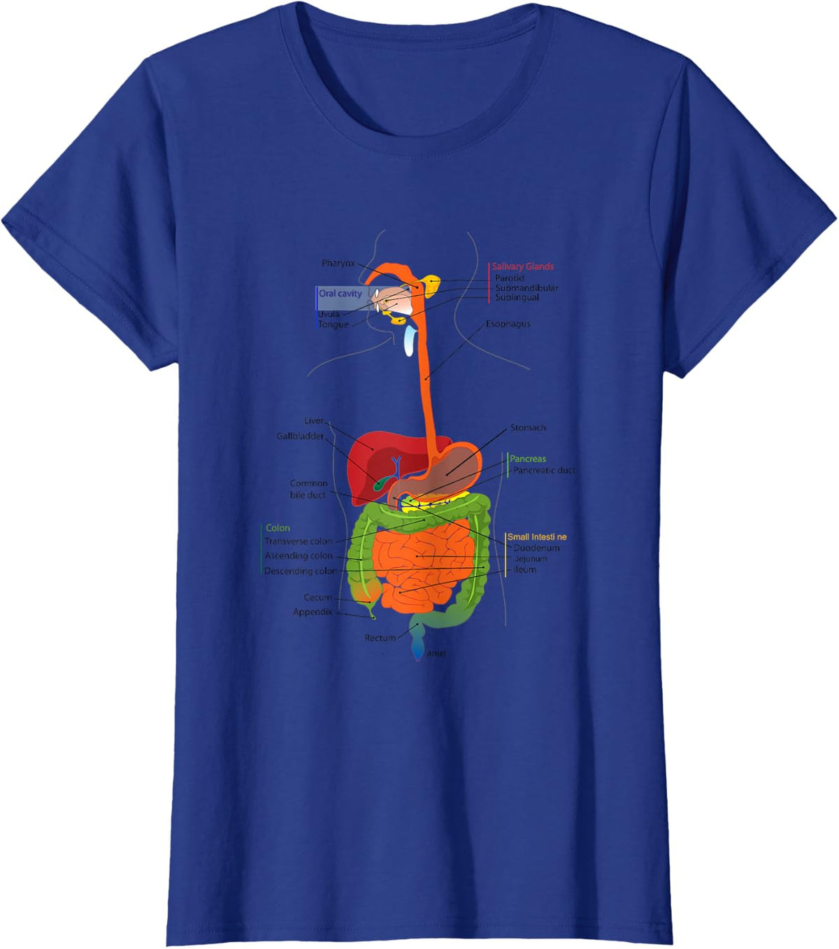 Human Body Digestive System Gastrointestinal Tract Anatomy T-Shirt - Royal Blue