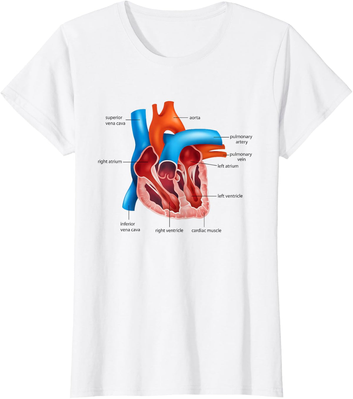 Funny Human Heart Anatomy Anatomical Heart T-Shirt - White