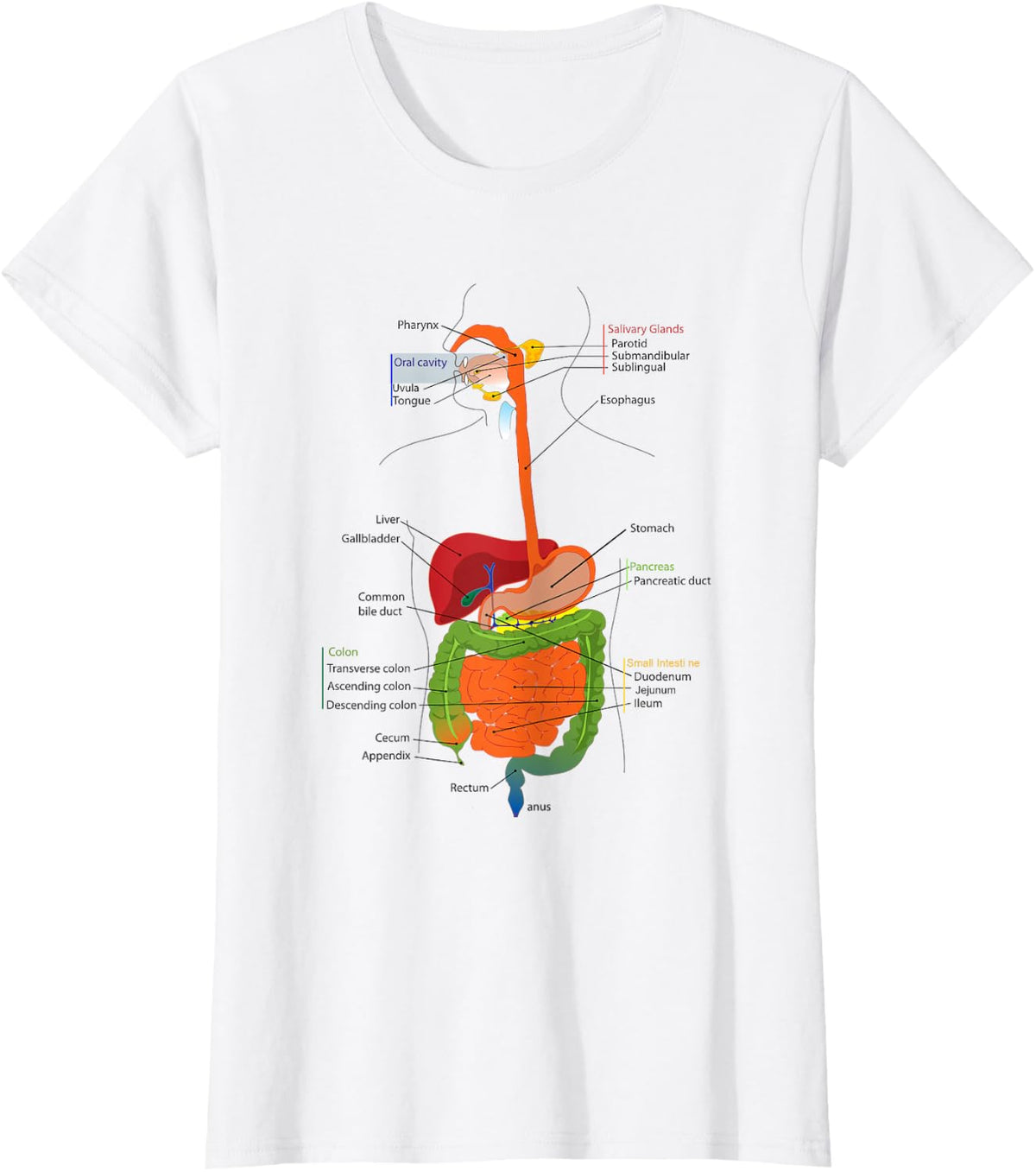 Human Body Digestive System Gastrointestinal Tract Anatomy T-Shirt - White