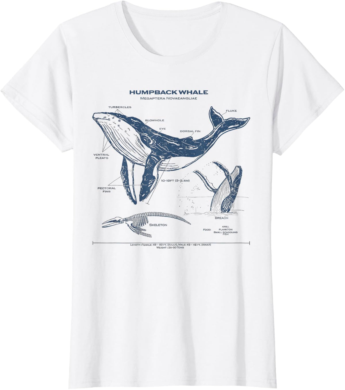 Humpback Whale Anatomy Marine Biology T-Shirt - White
