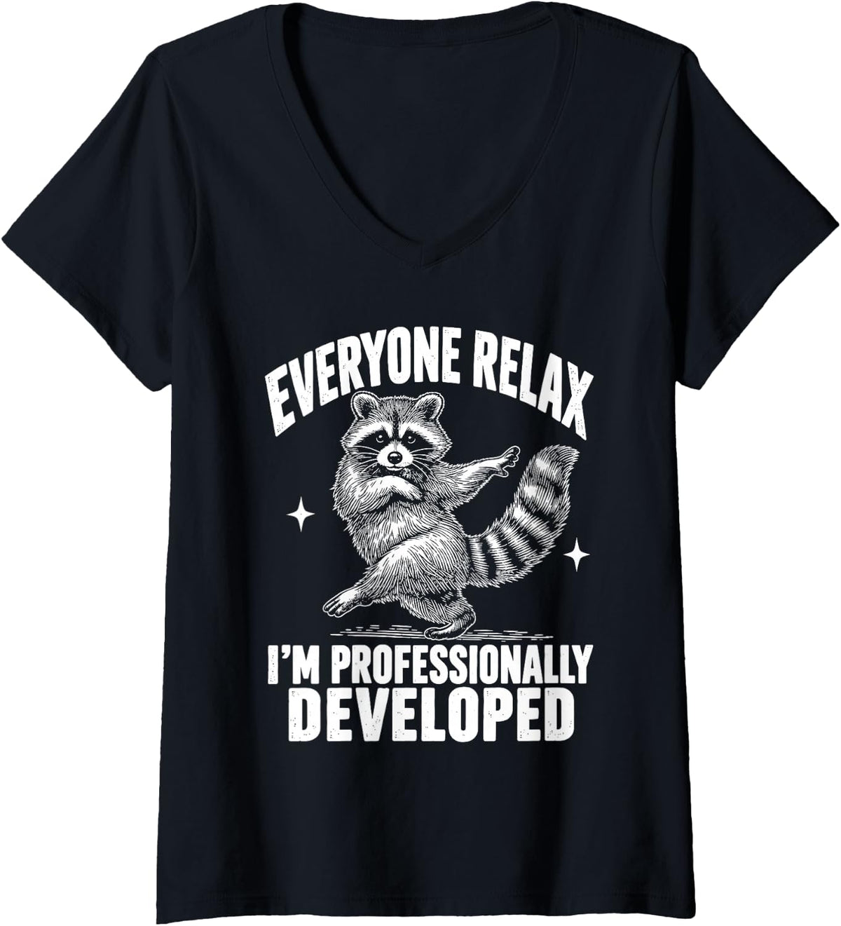 Women's Everyone Relax I'm Professionally Developed Raccoon V-Neck T-Shirt - Black