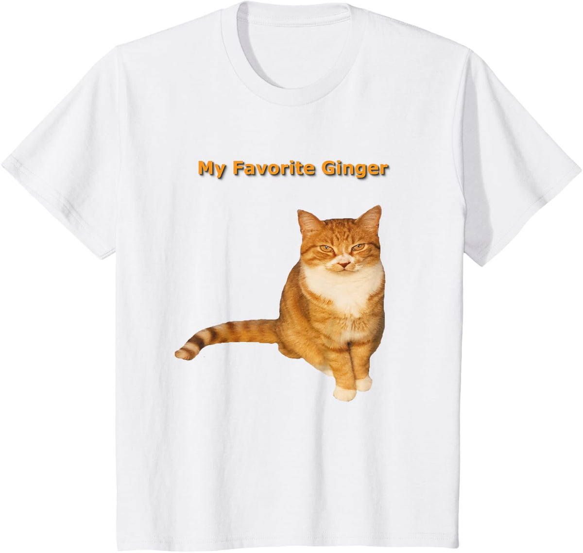 My Favorite Ginger Orange Tabby Cat Kitty Lover T-Shirt - White