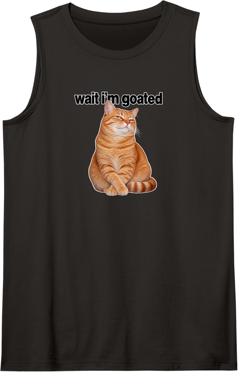 Smug Ginger Cat Meme Sly Tabby Reaction Humor Sleeveless Tank Top - Black
