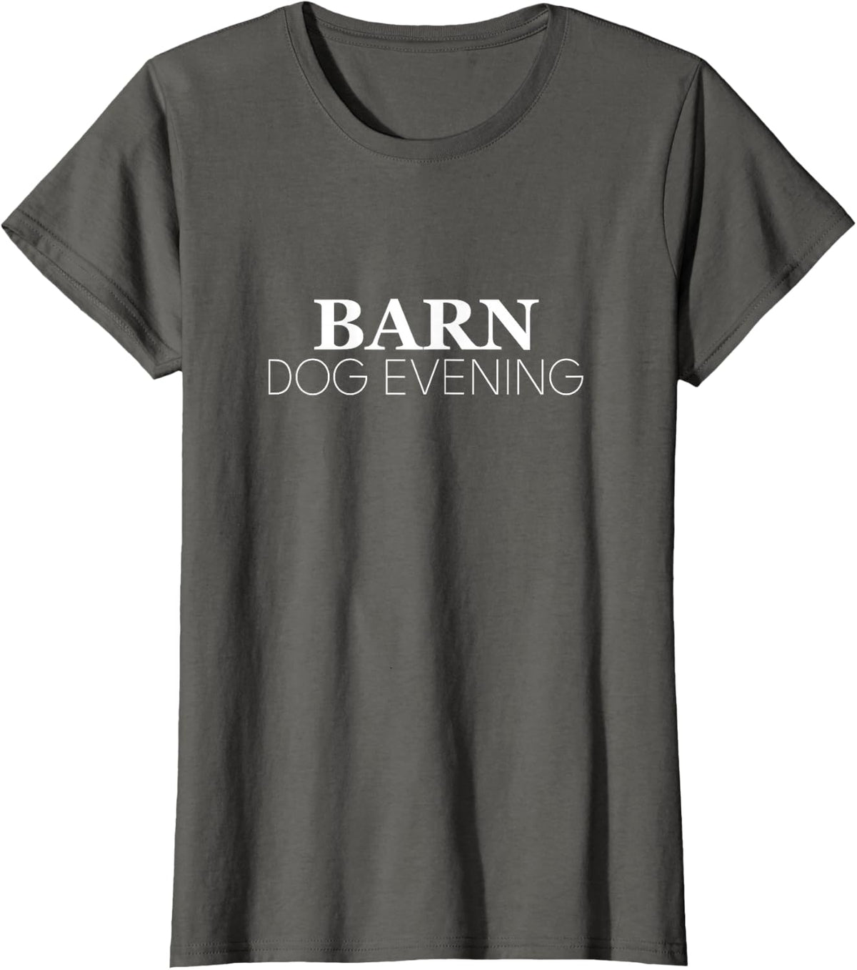 Barn Dog Evening Minimal Phrase Typography T-Shirt - Asphalt Grey