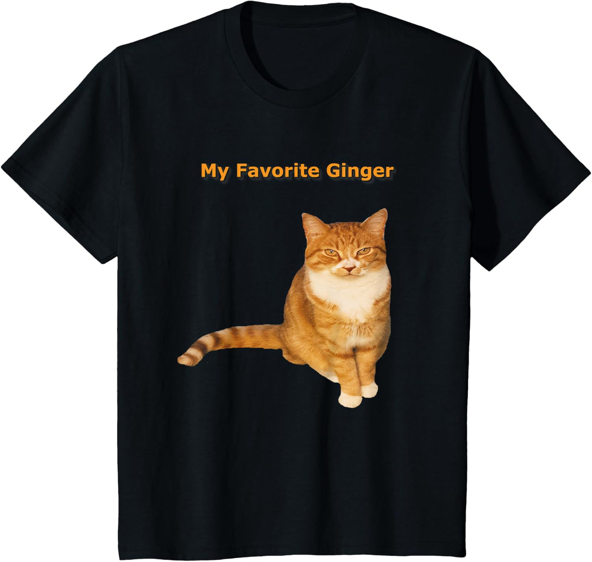 My Favorite Ginger Orange Tabby Cat Kitty Lover T-Shirt - Black