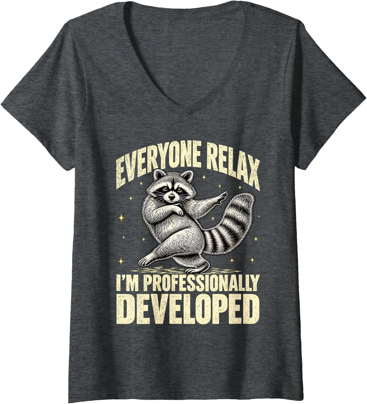 Women's Everyone Relax I'm Professionally Developed Funny Raccoon V-Neck T-Shirt - Dark Heather Grey