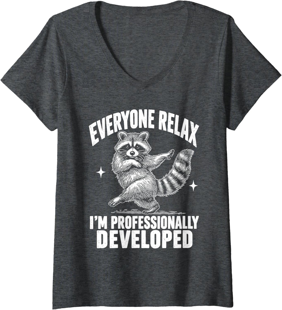 Women's Everyone Relax I'm Professionally Developed Raccoon V-Neck T-Shirt - Dark Heather Grey