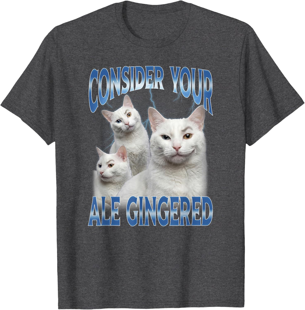 Consider Your Ale Gingered Ginger Ale Freak Cat Meme T-Shirt - Dark Heather Grey