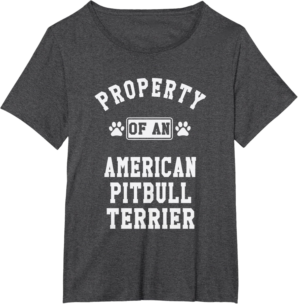 American Pitbull Terrier Property - Cute Pitbull Lover Gift T-Shirt - Dark Heather Grey
