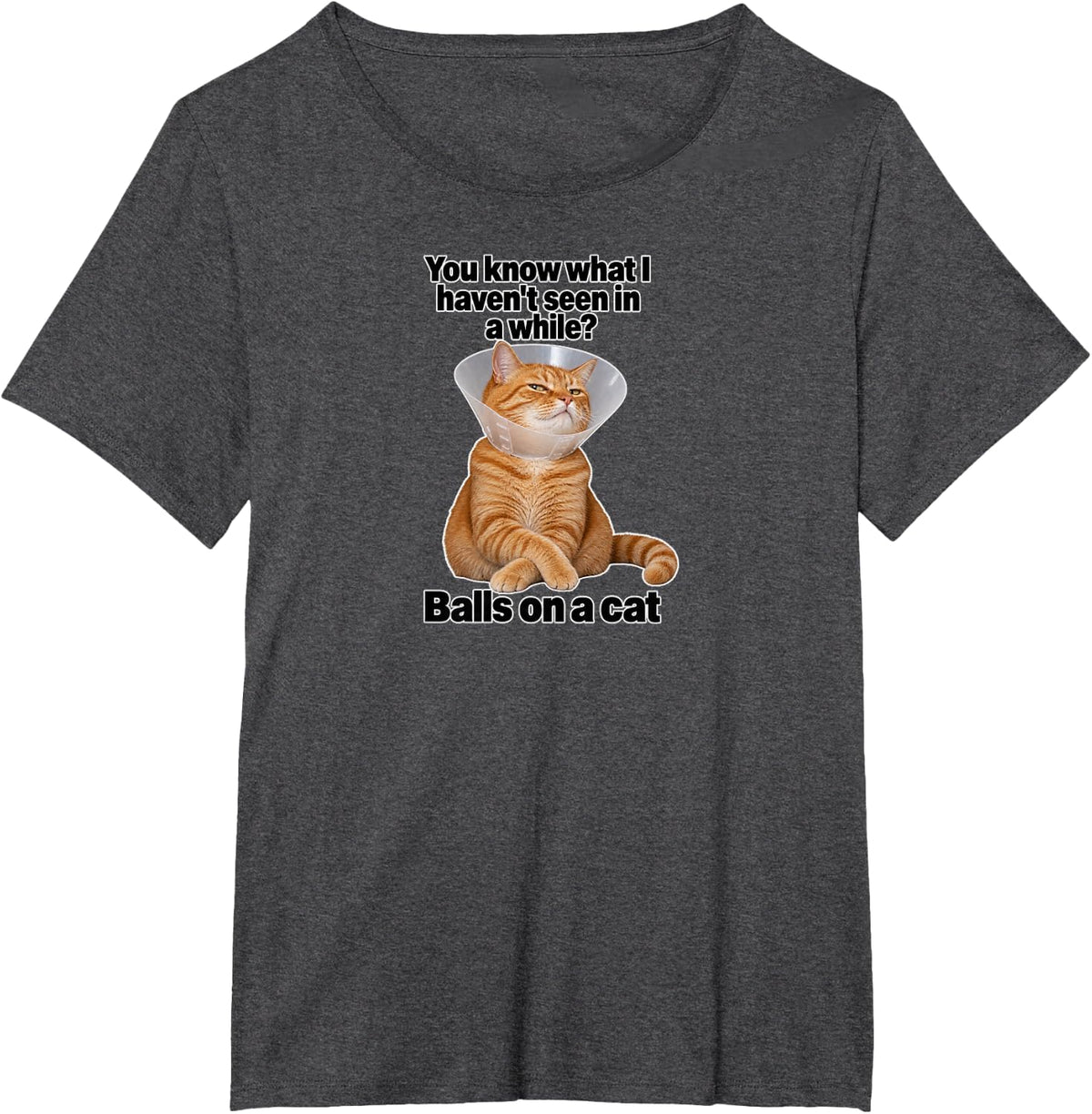 Ginger Cat Meme Sarcastic Pet Recovery Joke T-Shirt - Dark Heather Grey