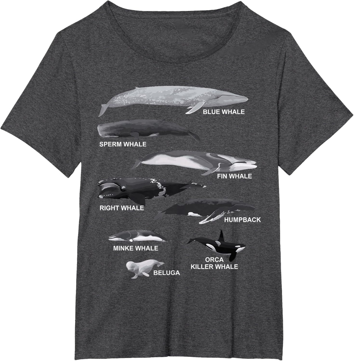Types of Whales Educational T-Shirt T-Shirt - Dark Heather Grey