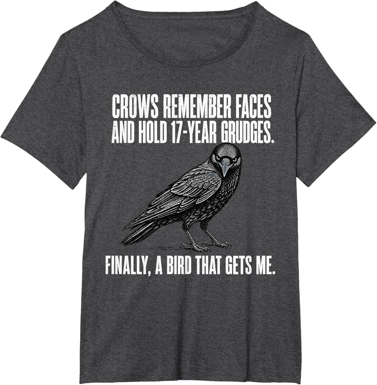 Crows Remember Faces and Hold 17 Year Grudges Bird Gets Me T-Shirt - Dark Heather Grey