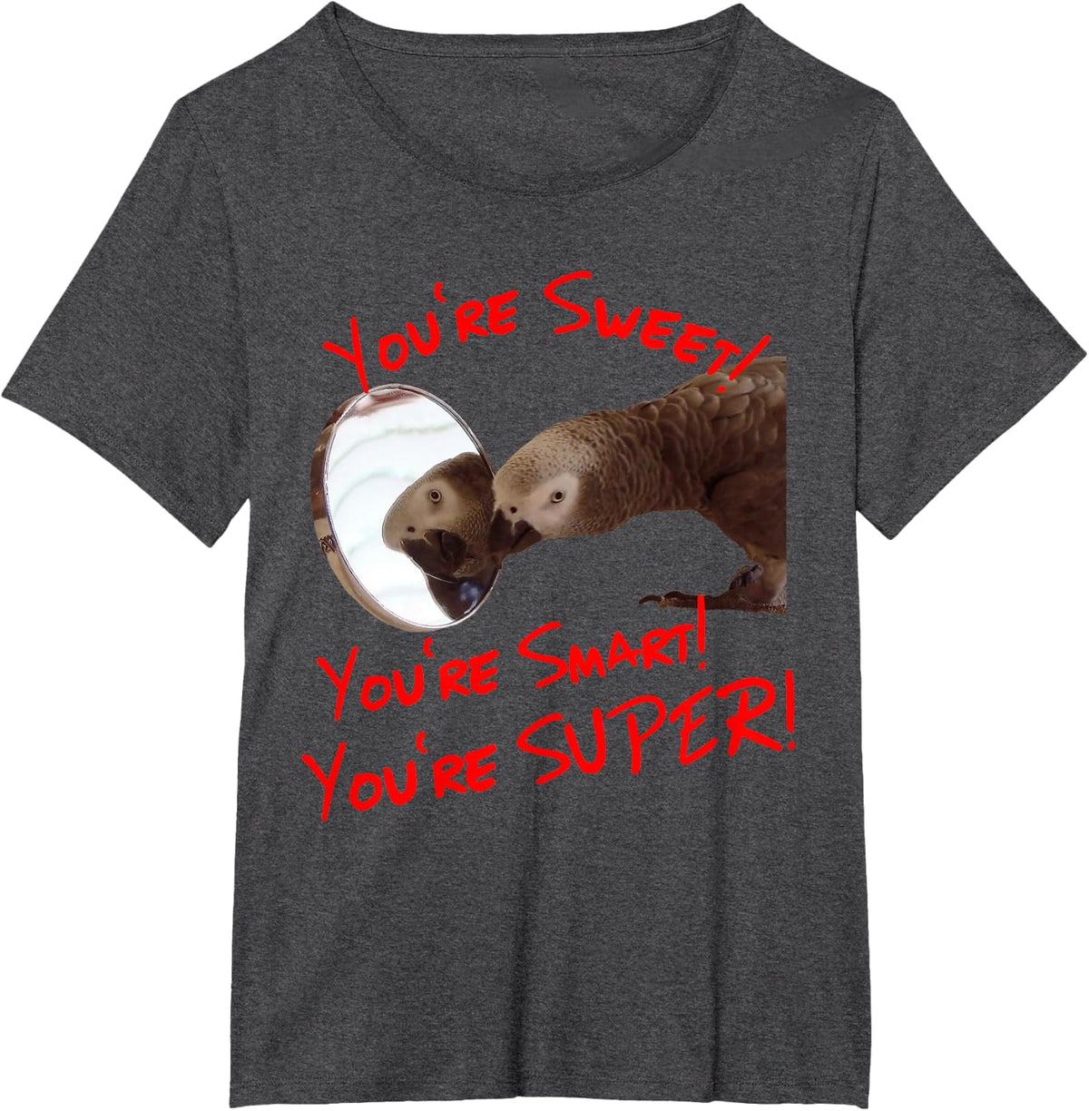 Daily Attitude Affirmations African Grey Parrot T-Shirt - Dark Heather Grey