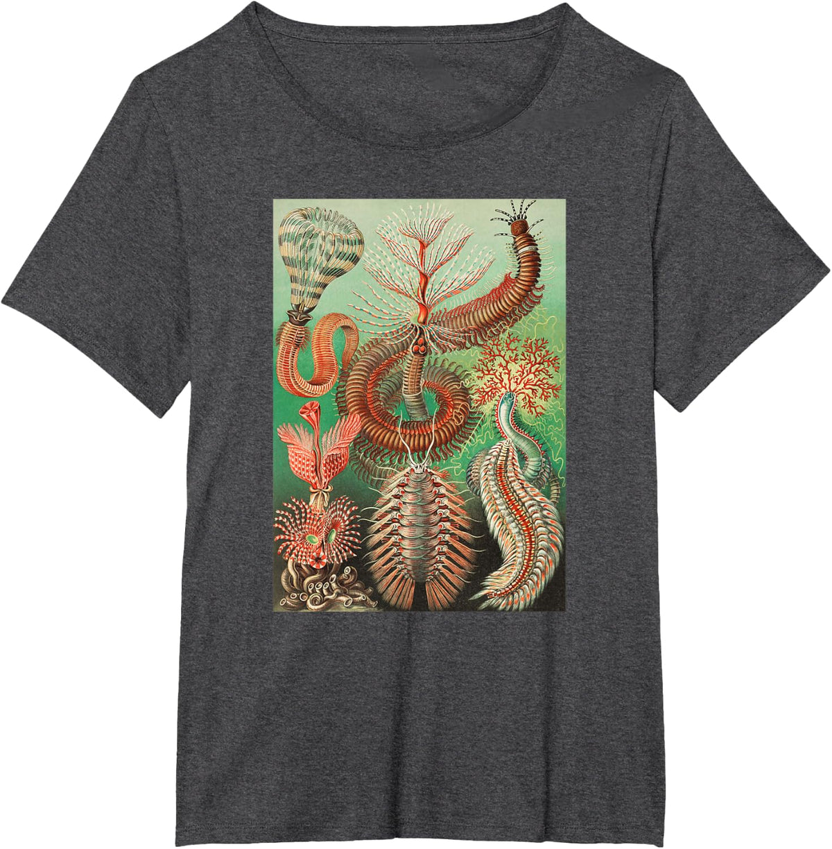 Biology Polychaetes Bristle Worms Animals Scientific Haeckel T-Shirt - Dark Heather Grey