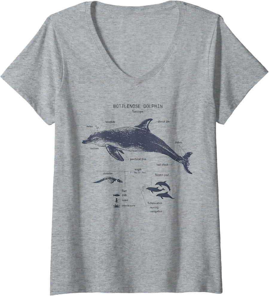 Women's Bottlenose Dolphin Anatomy Marine Biology V-Neck T-Shirt - Heather Grey