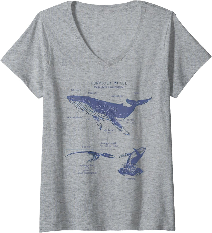 Women's Humpack Whale Anatomy Marine Biology V-Neck T-Shirt - Heather Grey