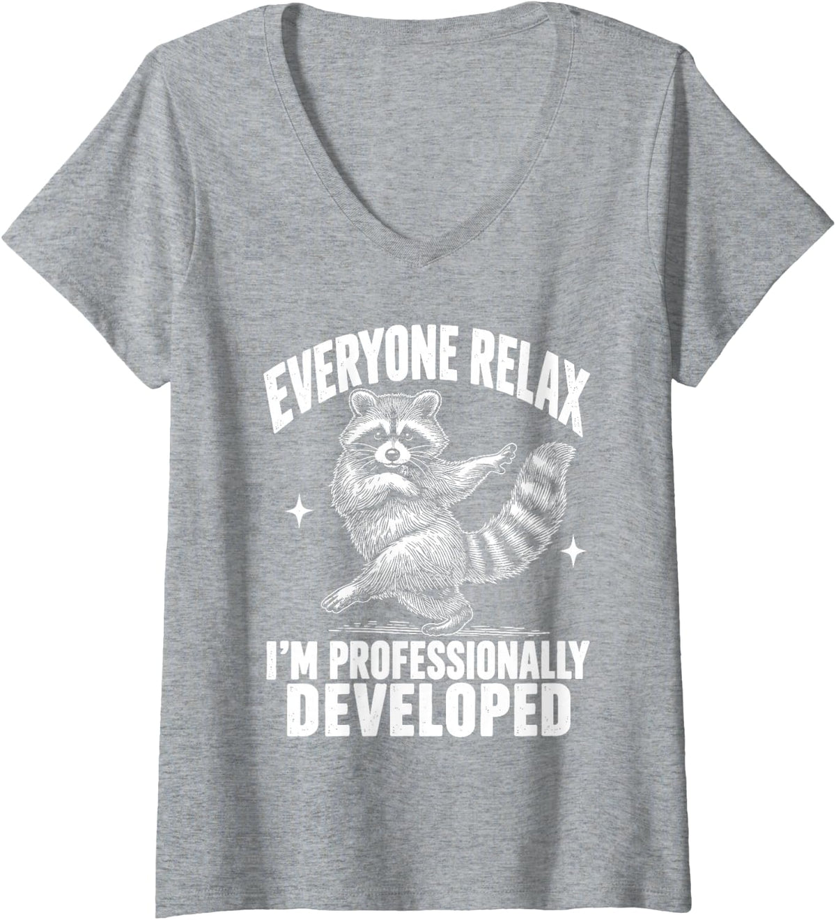 Women's Everyone Relax I'm Professionally Developed Raccoon V-Neck T-Shirt - Heather Grey