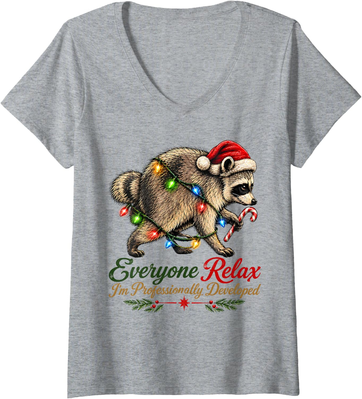Women's Everyone Relax I'm Professionally Developed Jimothy Raccoon V-Neck T-Shirt - Heather Grey