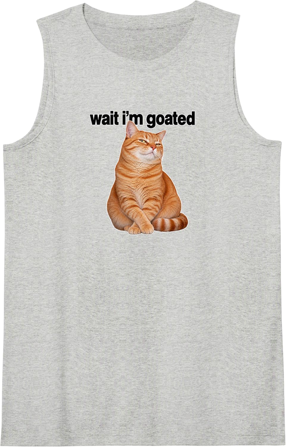 Smug Ginger Cat Meme Sly Tabby Reaction Humor Sleeveless Tank Top - Heather Grey