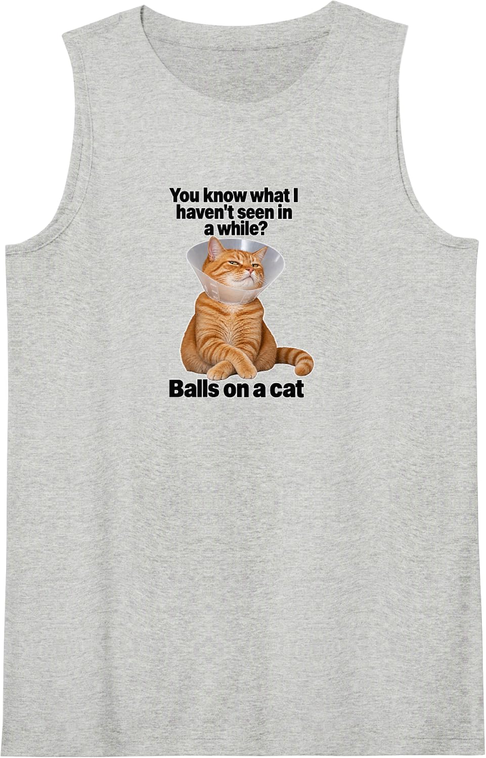 Ginger Cat Meme Sarcastic Pet Recovery Joke Sleeveless Tank Top - Heather Grey