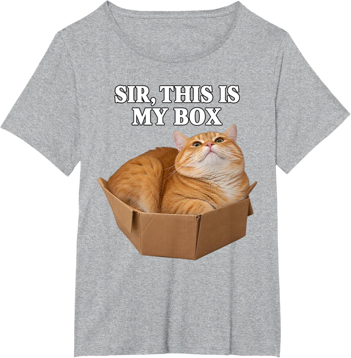 Funny Cat Meme Sir This is My Box Ginger Cat Too Small Box T-Shirt - Heather Grey
