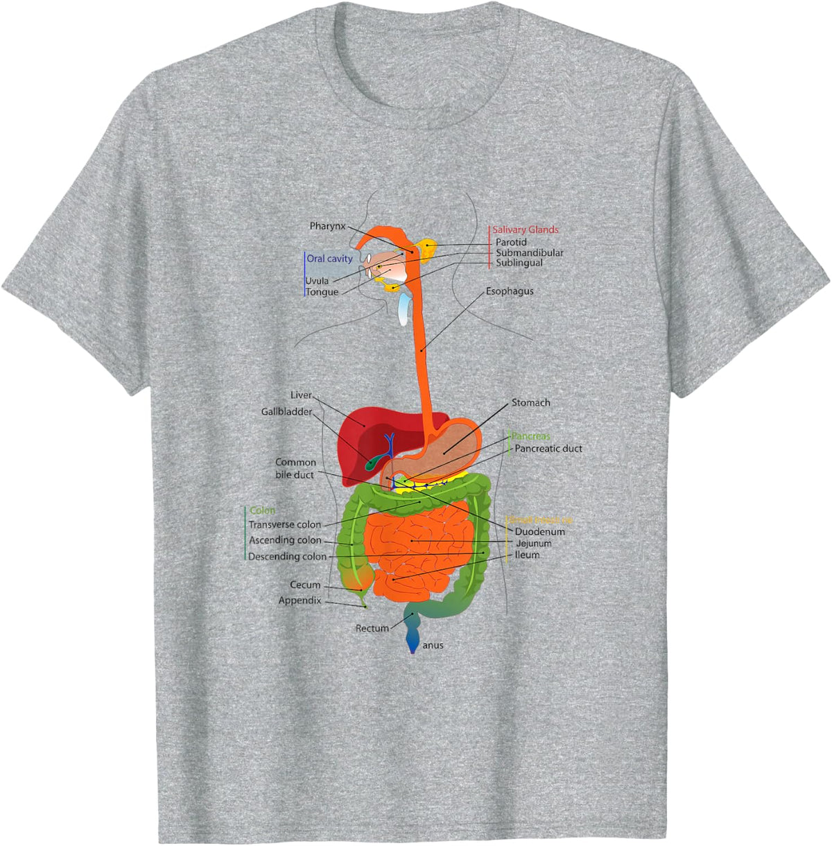 Human Body Digestive System Gastrointestinal Tract Anatomy T-Shirt - Heather Grey